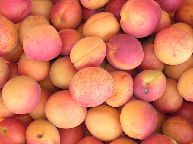 15 Summer Fruits For Everyday Recipes Peaches are a seasonal summer fruit!