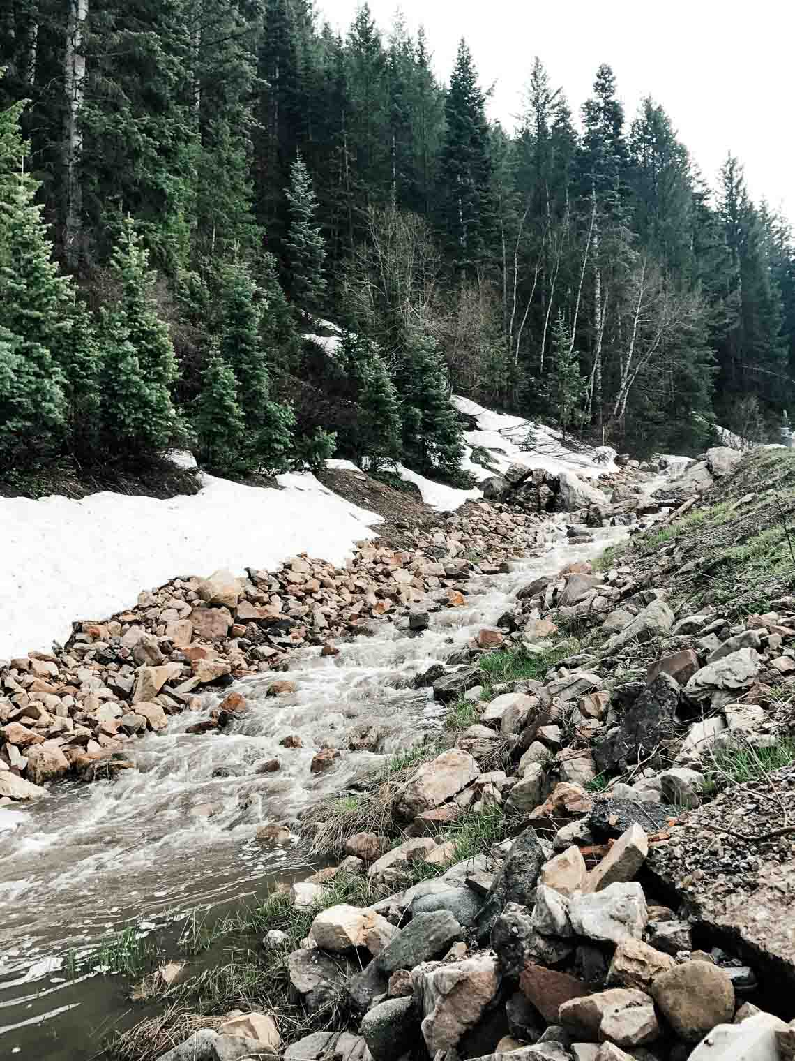 Picture of wooded area next to a stream in Salt Lake City