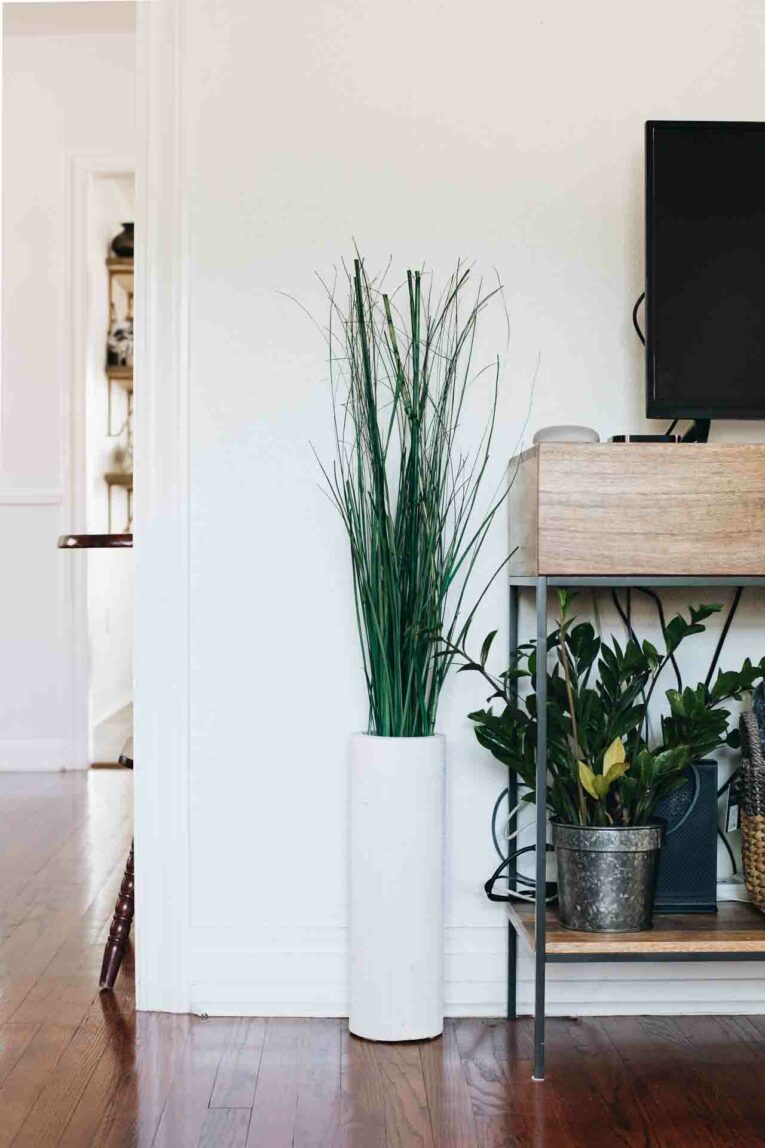 Having a clean and tidy home is wonderful, but can also be time consuming. Today, we're sharing the easiest way to clean baseboards to help you get the task done fast! Floor plant and smaller plant next to tv stand.