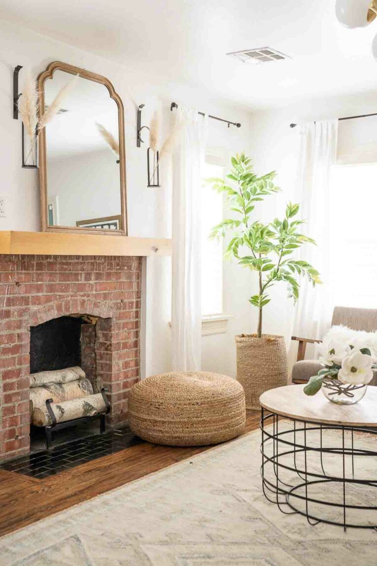 Living room with white rug, floor pillow, and green plant.