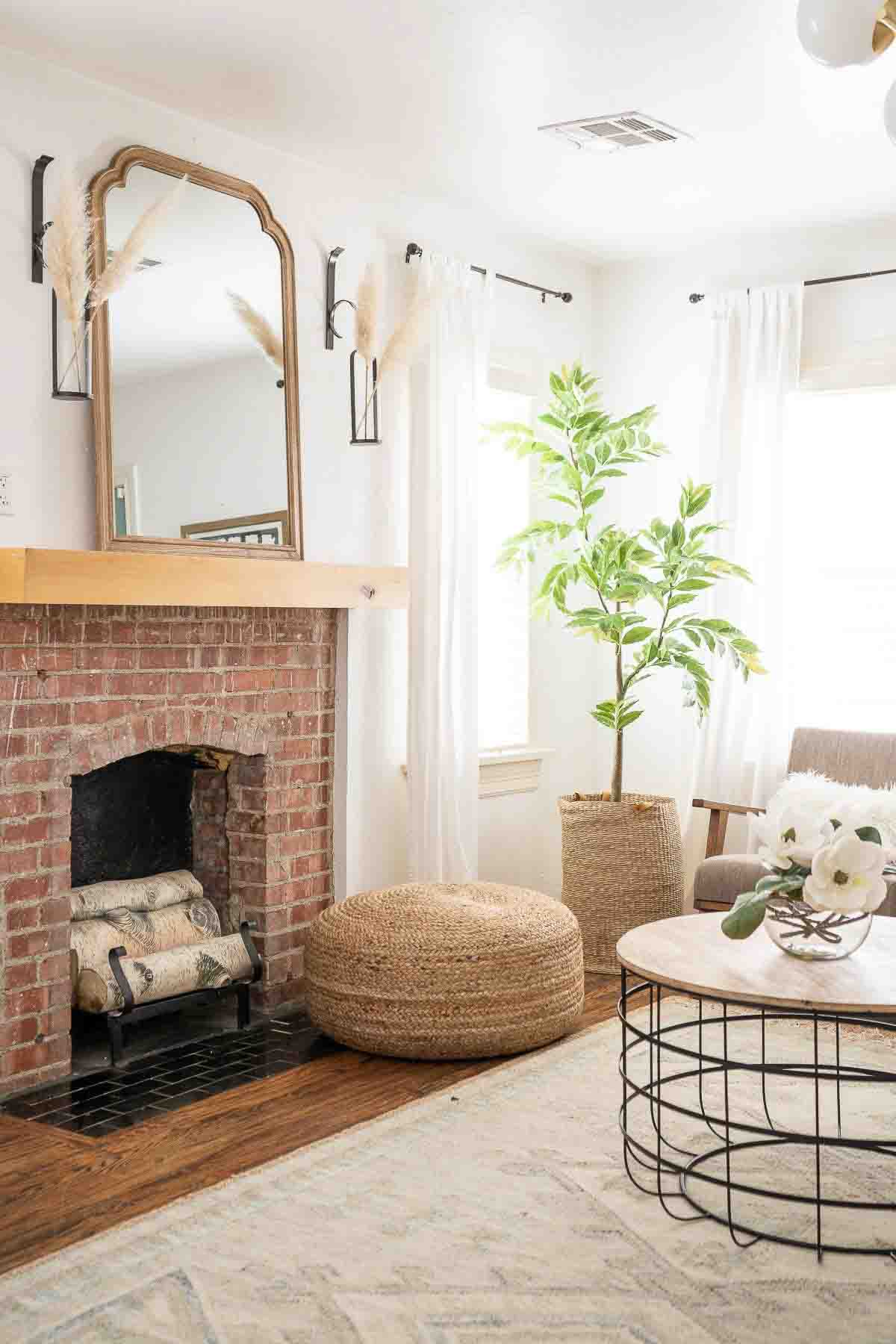 Living room with white rug, floor pillow, and green plant.