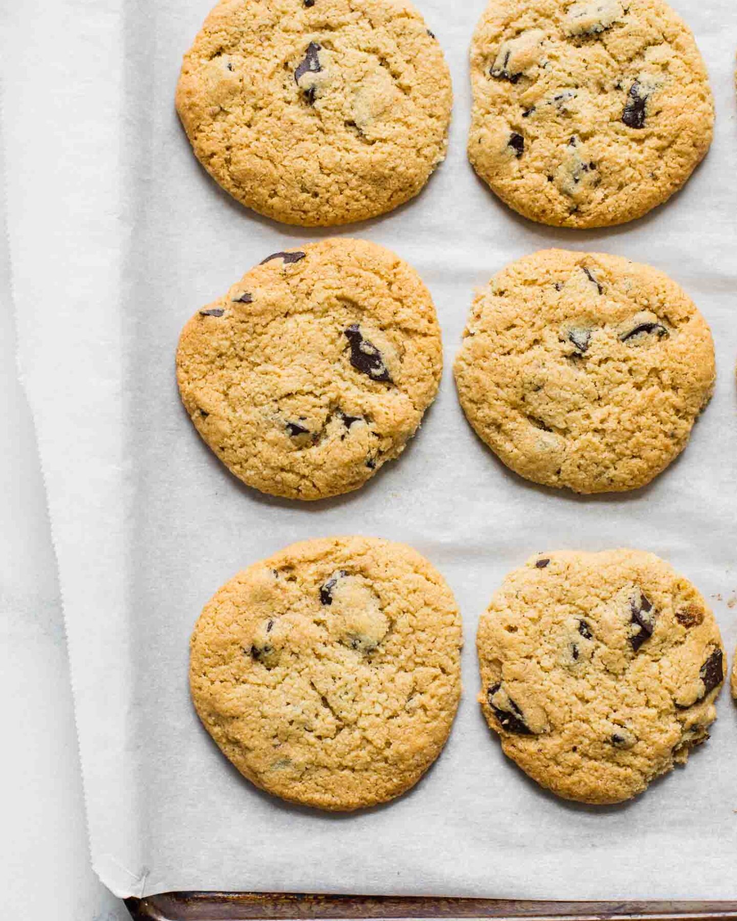 Close up of almond flour chocolate chip cookies on a baking sheet.
