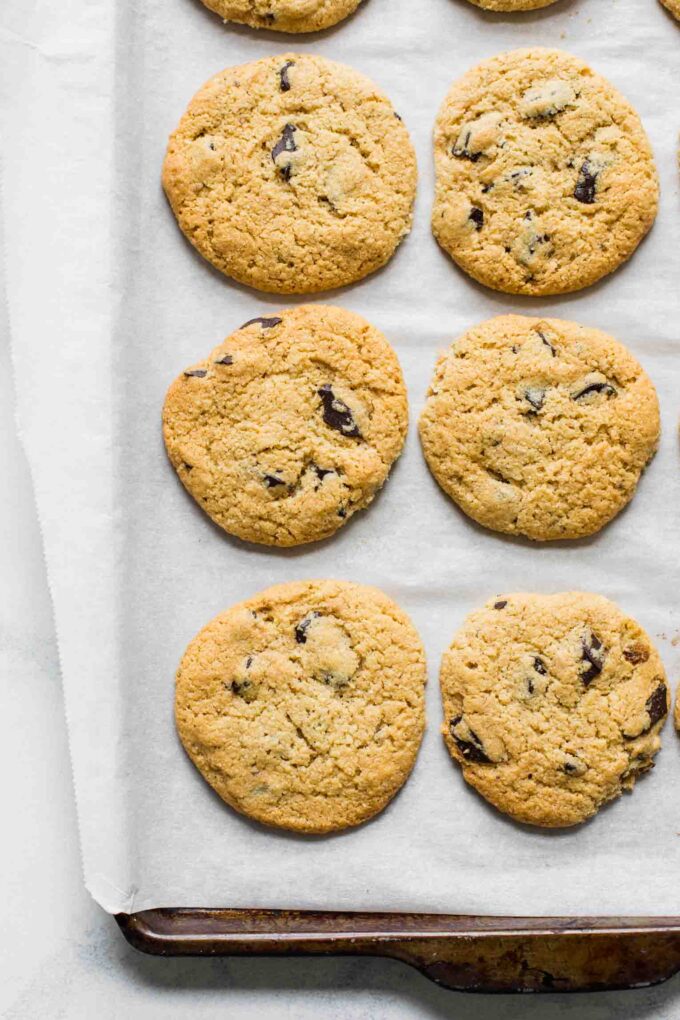 Close up of almond flour chocolate chip cookies on a baking sheet.