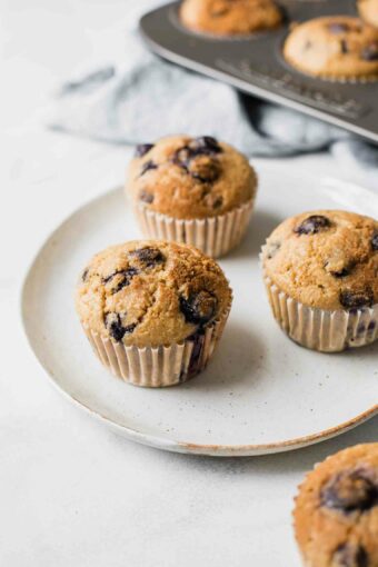 Angled shot of Blueberry Quinoa Muffins on a white plate with a napkin in the background.