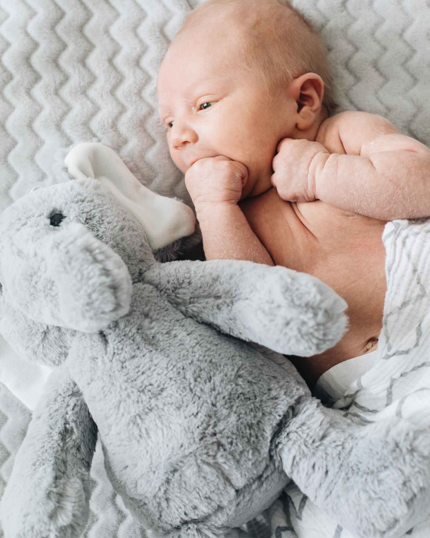 Baby Christmas Gift Ideas - Baby laying on a blanket with a stuffed animal.