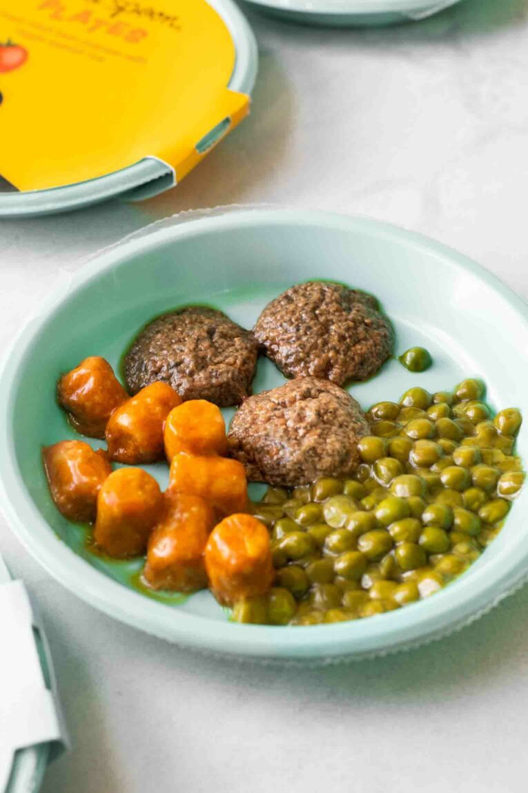 Angled shot of Little Spoon Plates toddler meal.