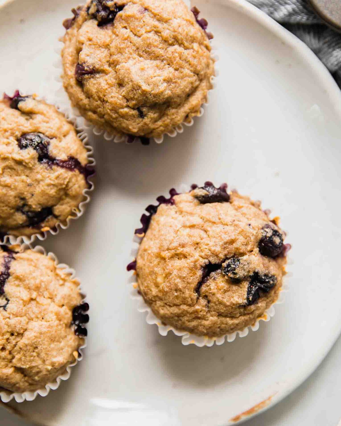Top shot of toddler muffins with blueberries on a white plate.