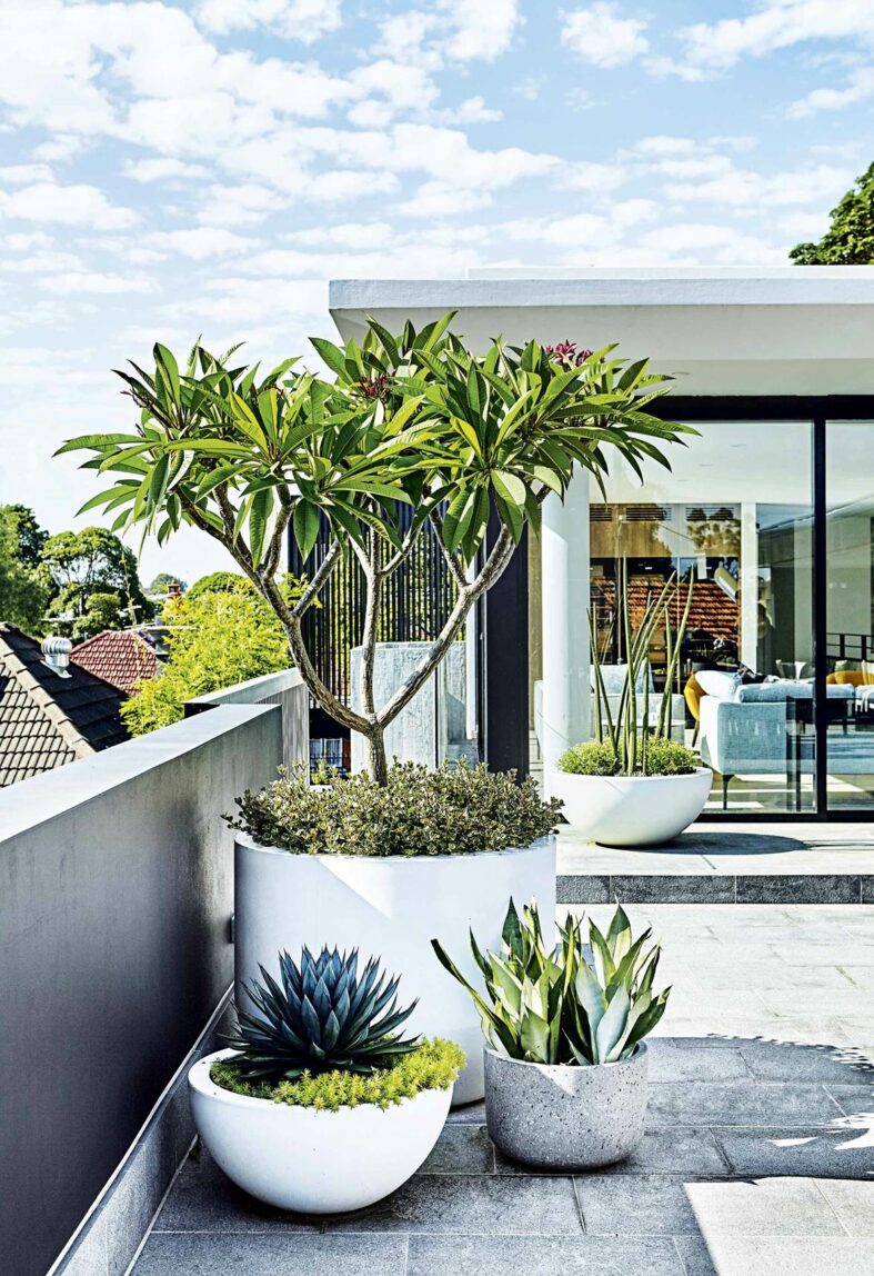 A deck with three large planters and plants growing.