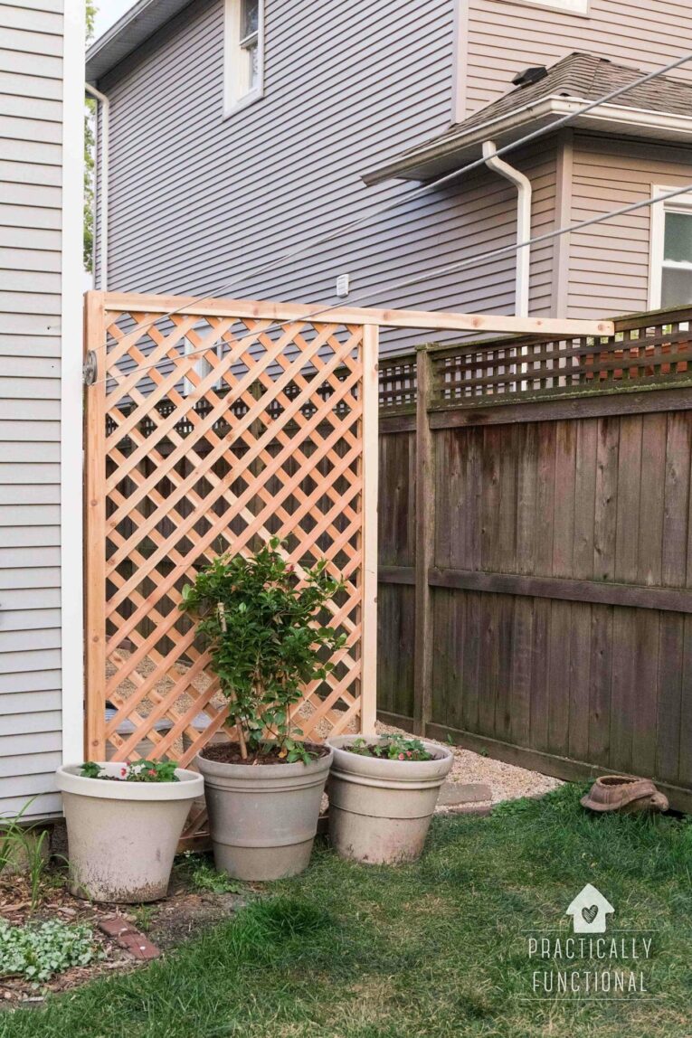 A trellis on the side of a house with a plant in front.
