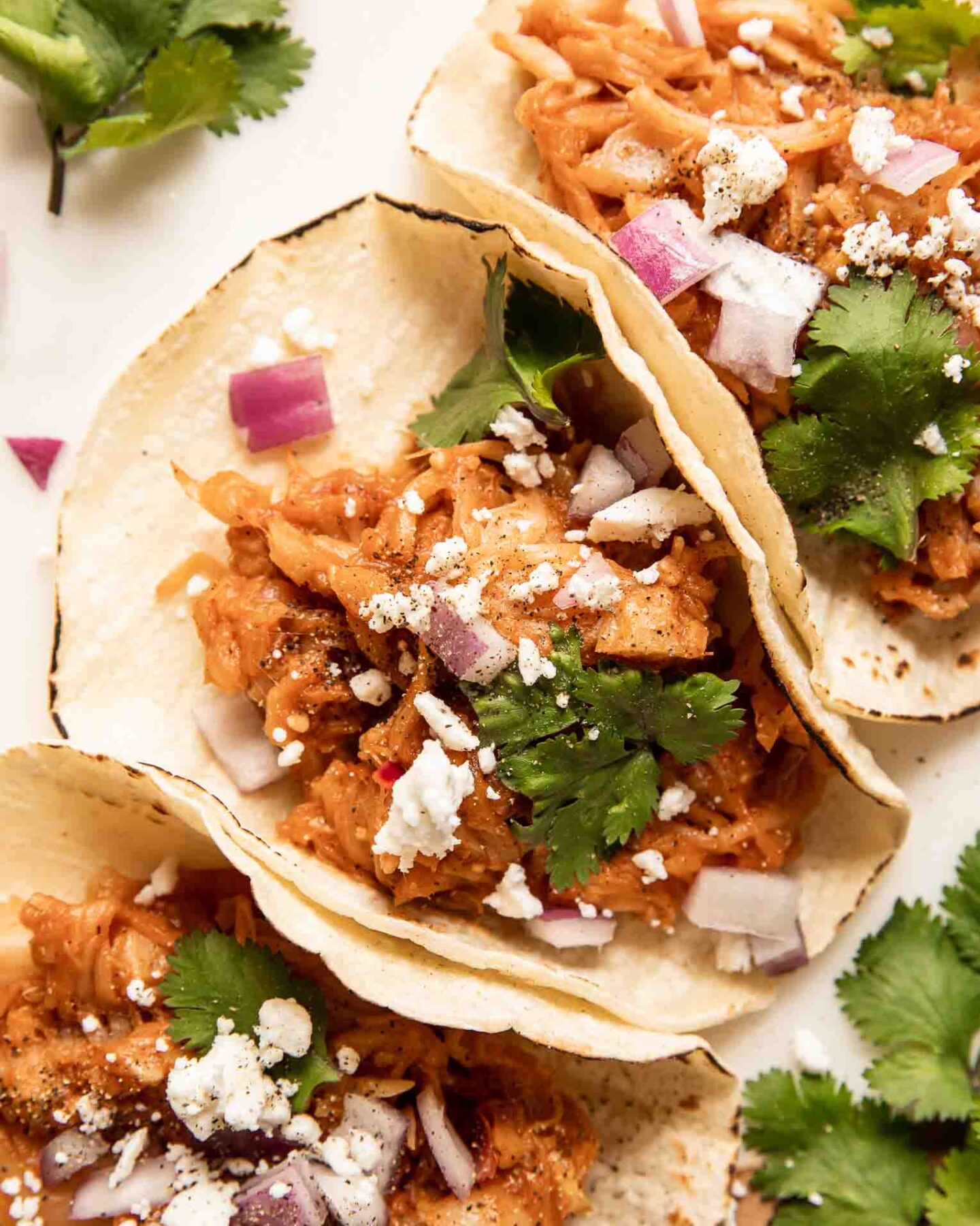 Close up of jackfruit pulled pork tacos with cilantro, cotija cheese, and onions.