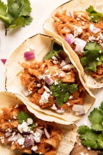 Close up of jackfruit pulled pork tacos with cilantro, cotija cheese, and onions.