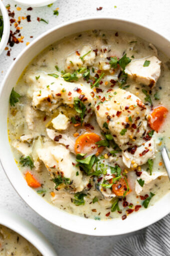 Close up of gluten-free chicken and dumplings.