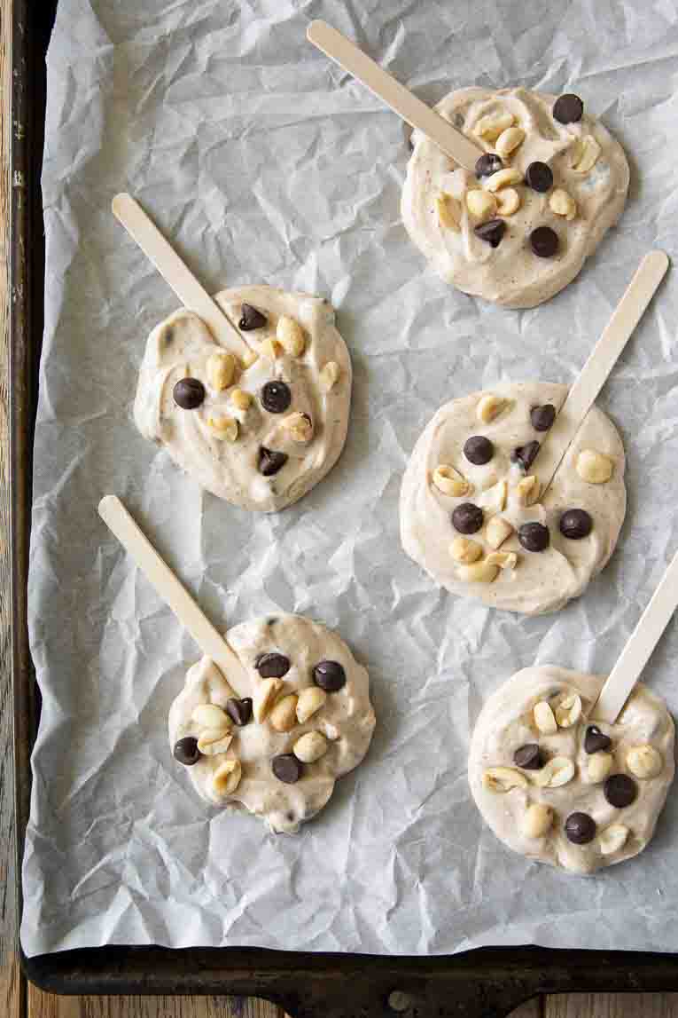 Frozen yogurt bars with chocolate chips and peanuts.