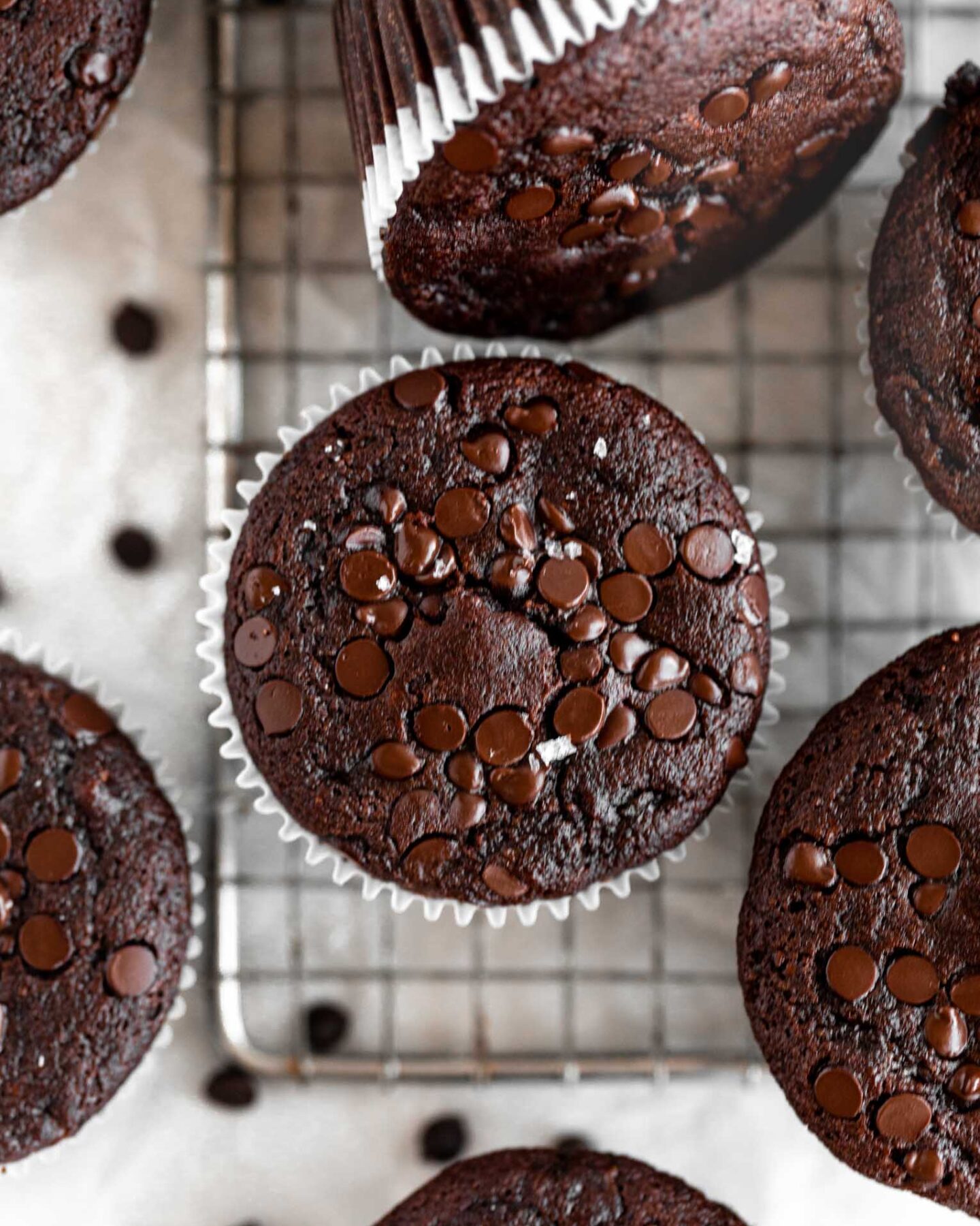 Top shot photo of Chocolate Zucchini Muffins.