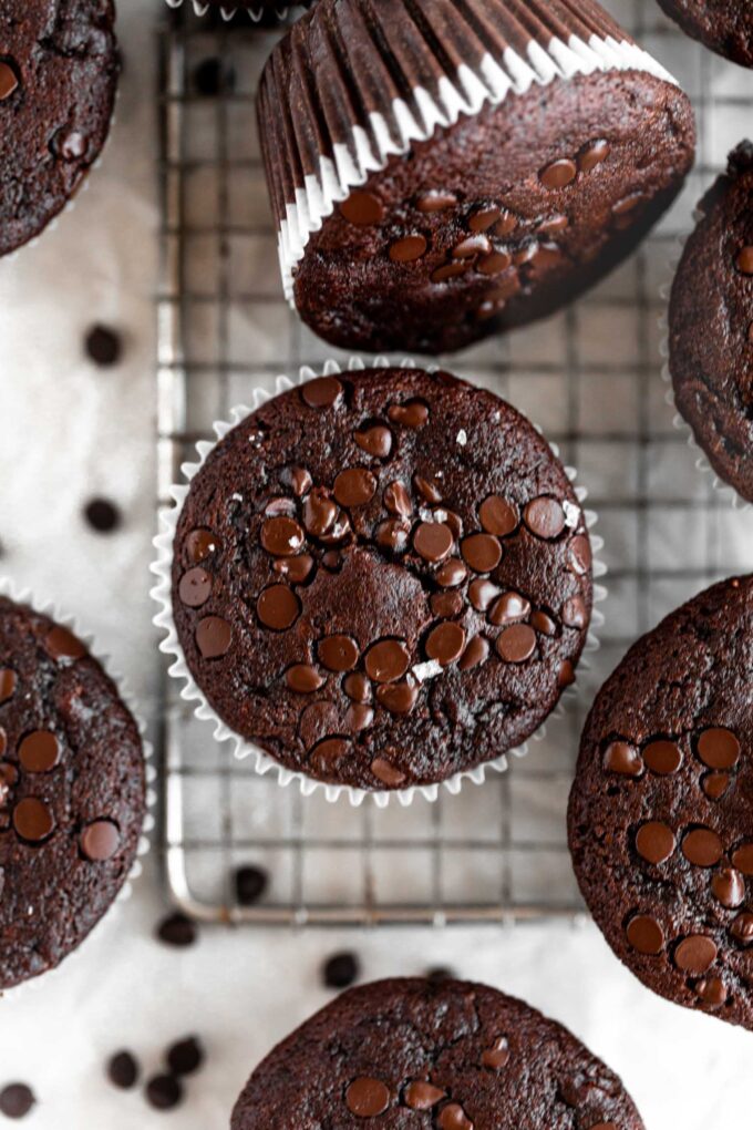 Top shot photo of Chocolate Zucchini Muffins.