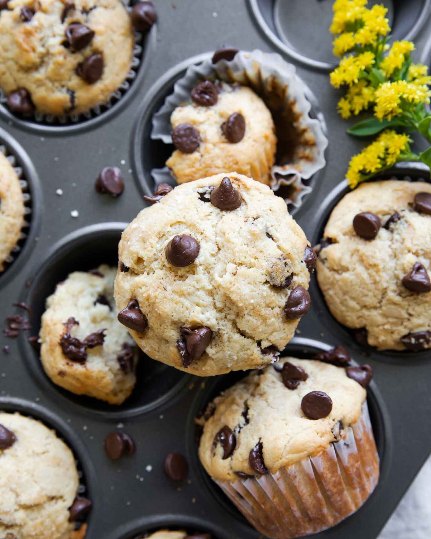 Close up of Healthy Chocolate Chip Muffins.