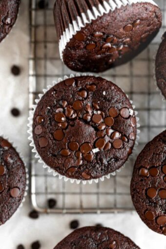 Top shot photo of Chocolate Zucchini Muffins.