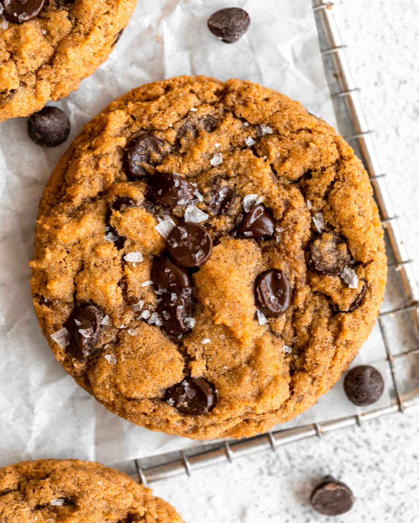 Top shot photo of Gluten-Free Pumpkin Cookies with chocolate chips and dash of salt.