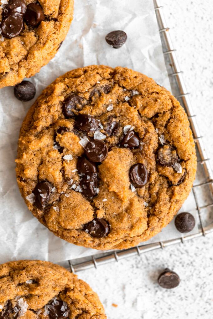 Top shot photo of Gluten-Free Pumpkin Cookies with chocolate chips and dash of salt.