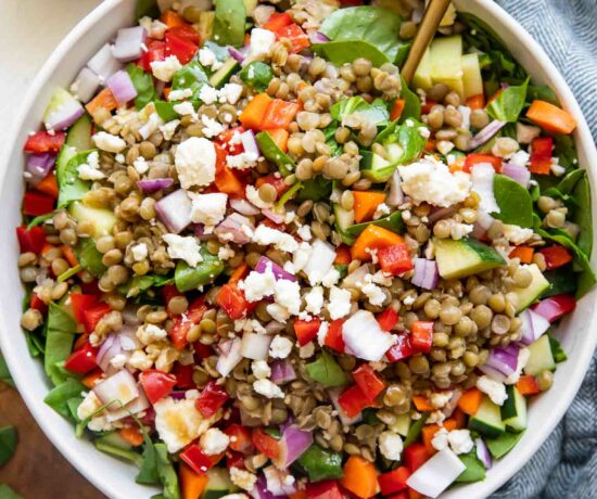 Lemon Balsamic Lentil Salad top shot photo in a bowl with ingredients around it.