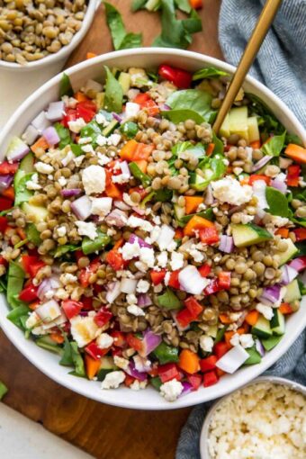 Lemon Balsamic Lentil Salad top shot photo in a bowl with ingredients around it.