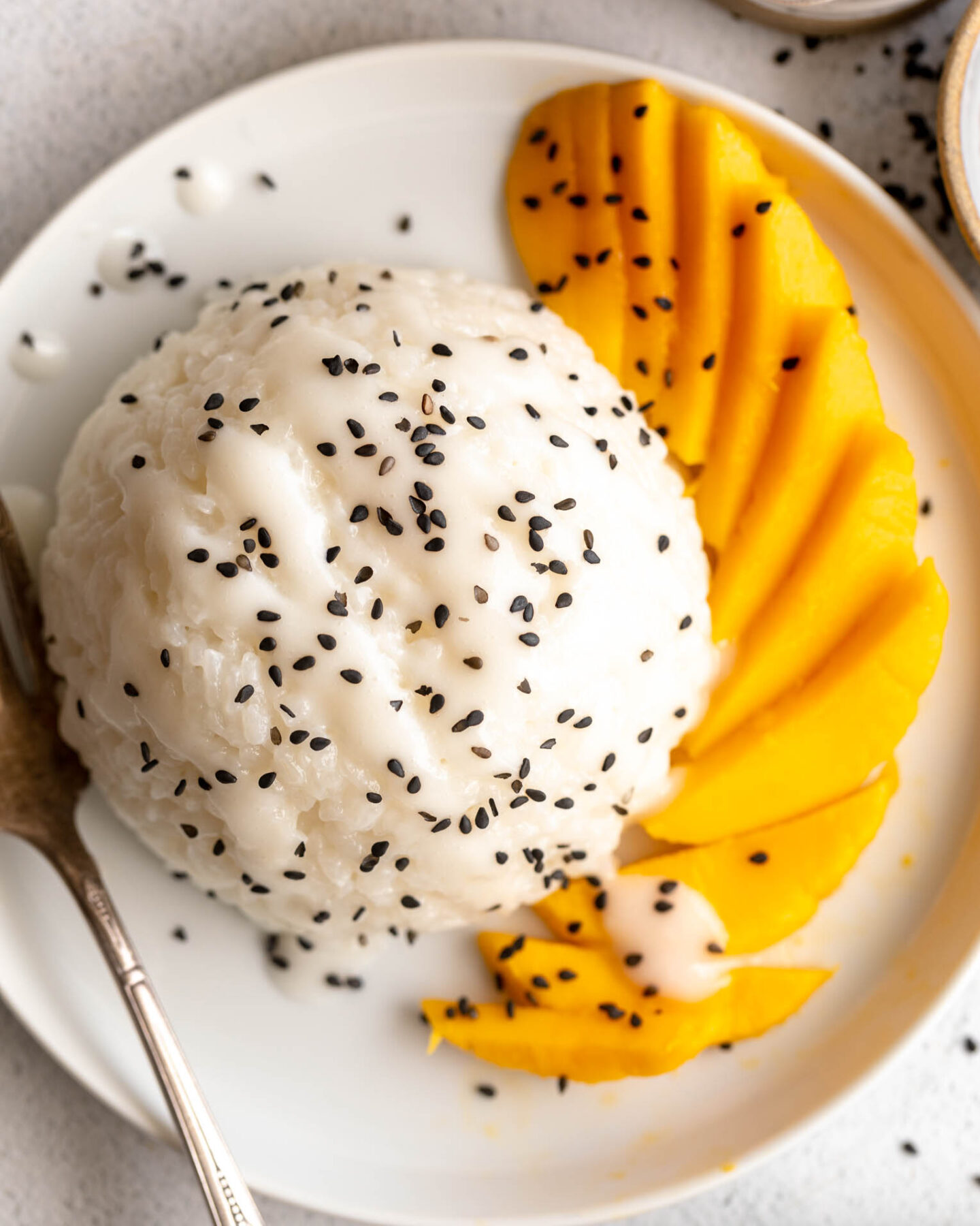 Thai Mango Sticky Rice on a plate.