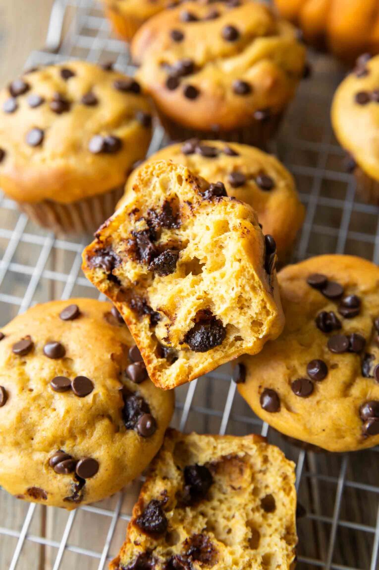 Pumpkin protein muffins with chocolate chips.