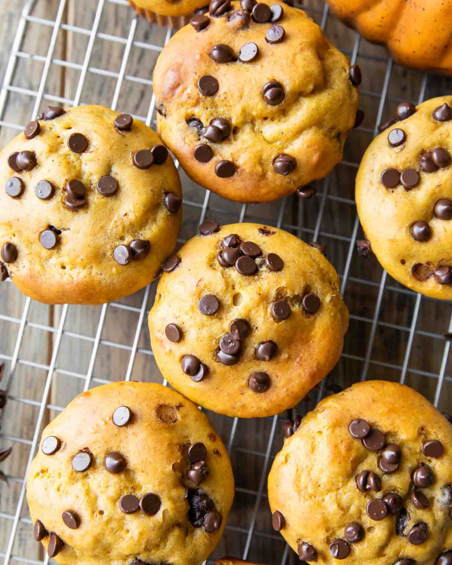 Top shot of Pumpkin Cottage Cheese Muffins recipe.