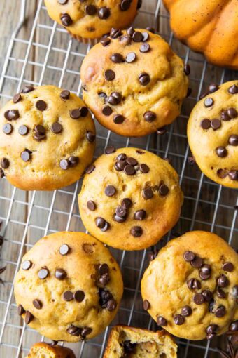 Top shot of Pumpkin Cottage Cheese Muffins recipe.