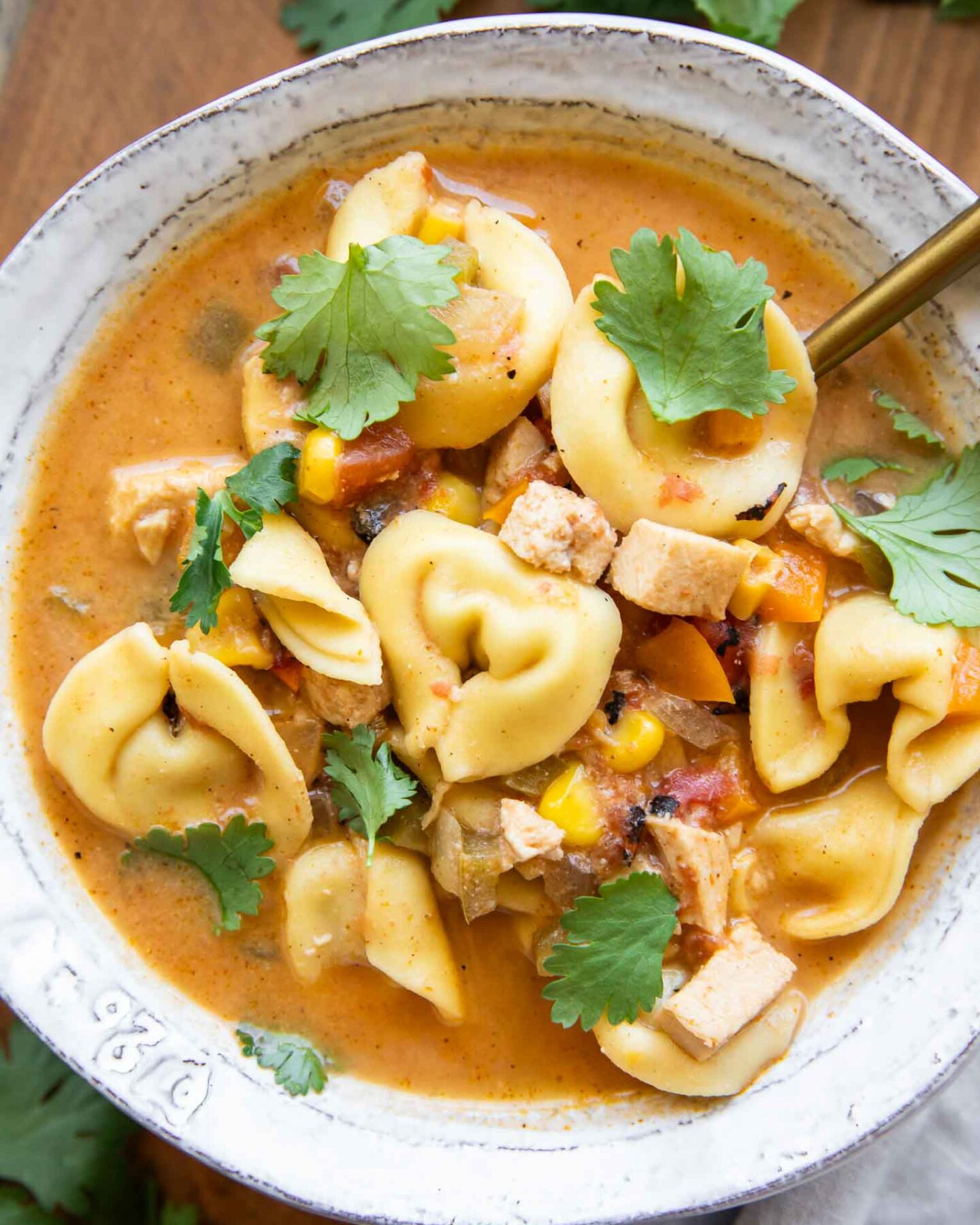 Top shot of healthy protein soup recipe.