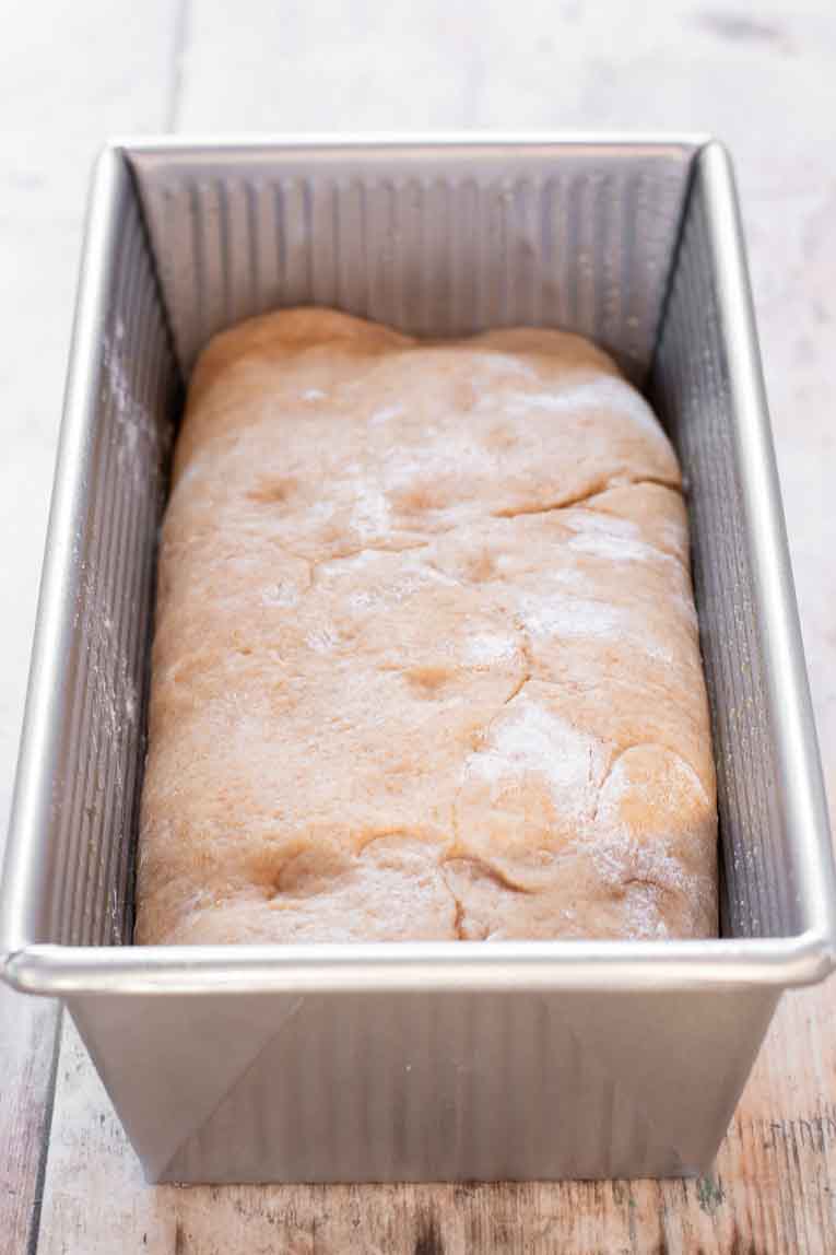 Sandwich bread dough in a loaf pan.