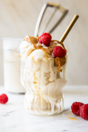 Close up of Greek Yogurt Ice Cream.